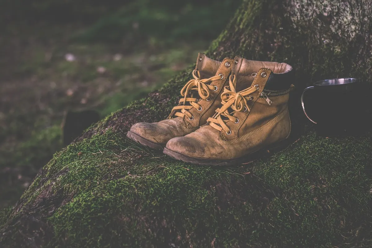 First Visit to Marsh Haven: A Checklist for Footwear, Binoculars and Weather
